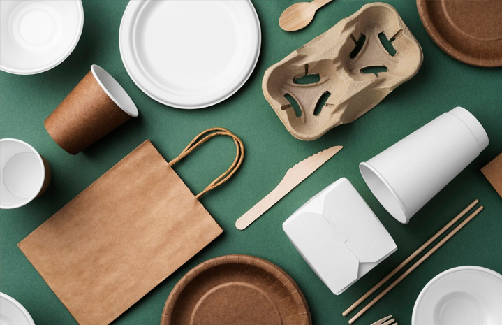 Salad Paper Bowl: Guide to Types, Use & Compost